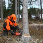 pilarki spalinowe Husqvarna